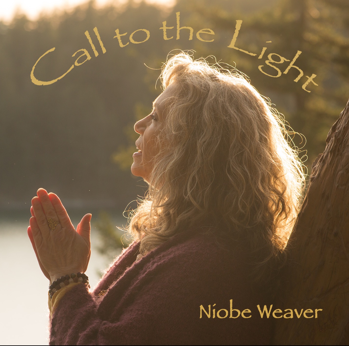 Call to the Light Album